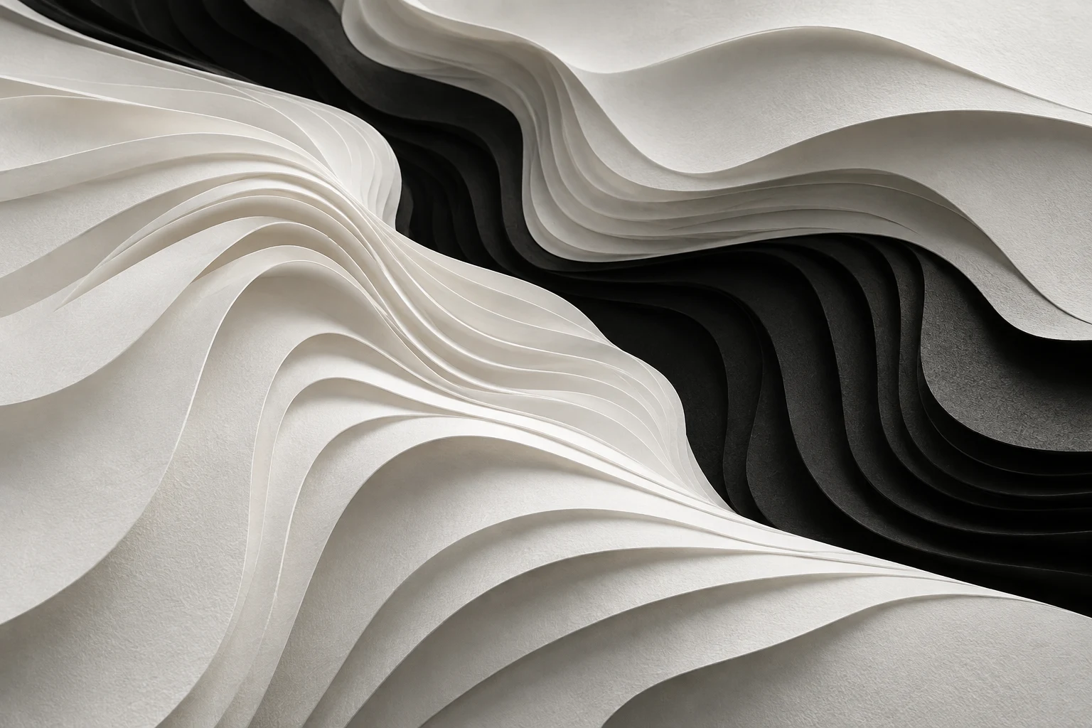 Sculptural layers of black and white paper